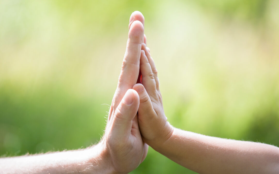 Liefde, geduld en wijsheid